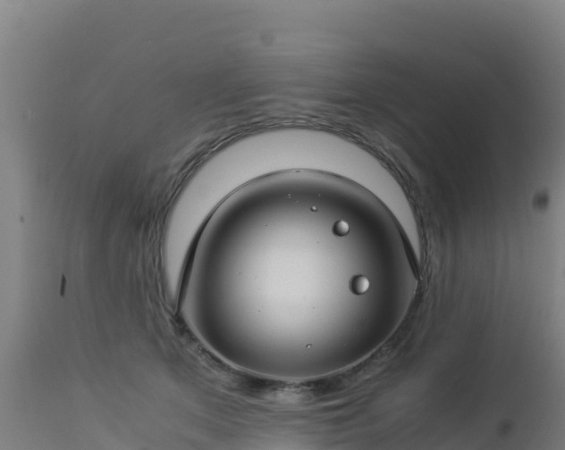 X0000112900513200908281728