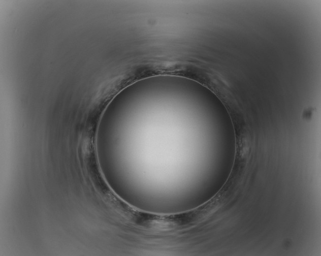 X0000112900515200908281728