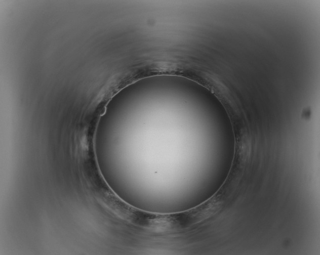 X0000112900516200908281728