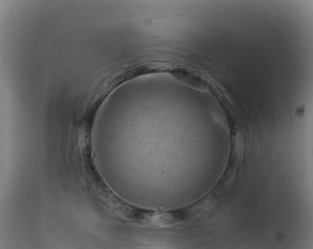 X0000112900517200908281728