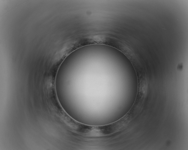 X0000112900518200908281728