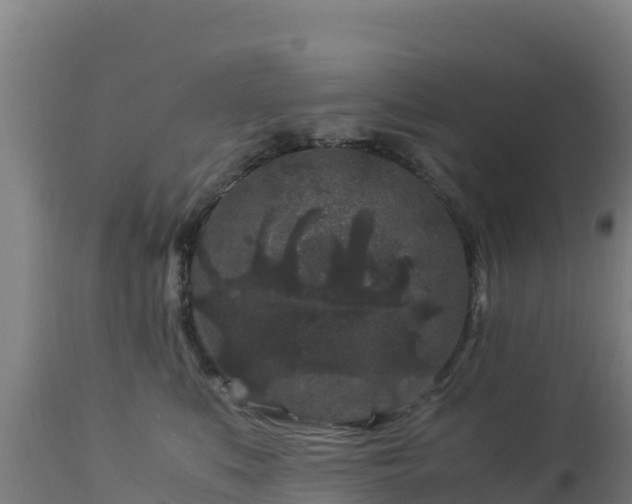 X0000112900519200908281728