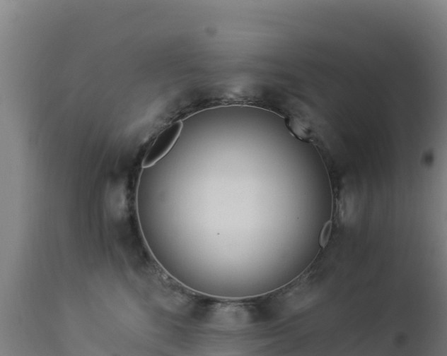 X0000112900520200908281728