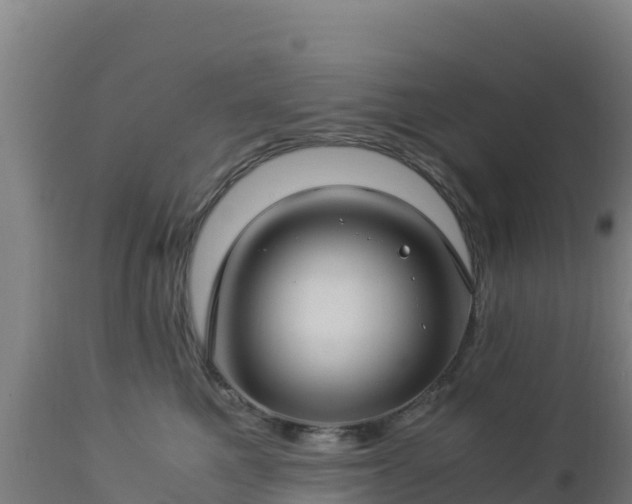 X0000112900521200908281728