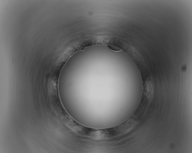 X0000112900522200908281728