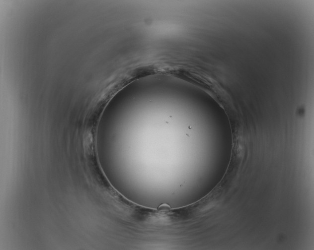 X0000112900523200908281728