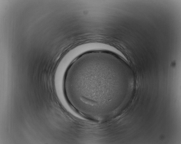 X0000112900524200908281728