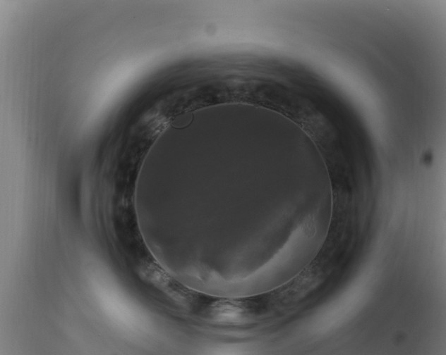 X0000112900526200908281728