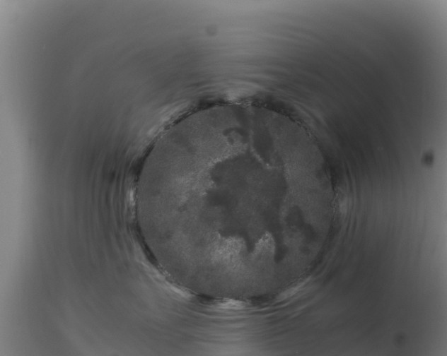 X0000112900527200908281728