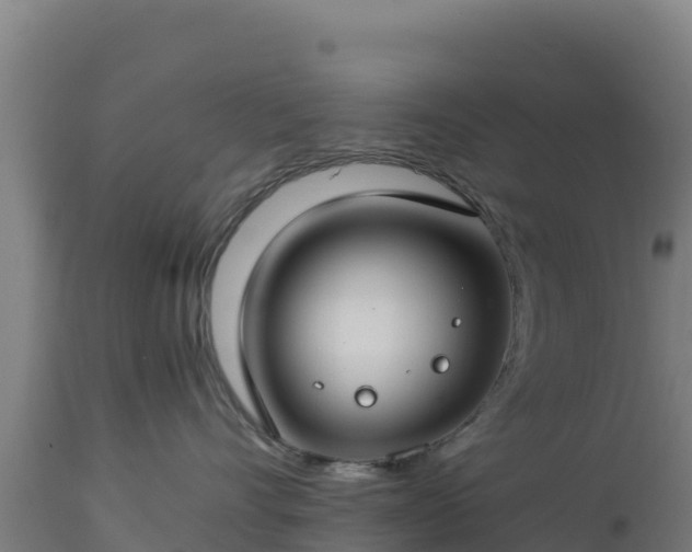 X0000112900528200908281728