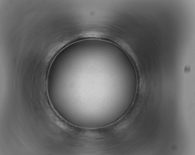 X0000112900529200908281727