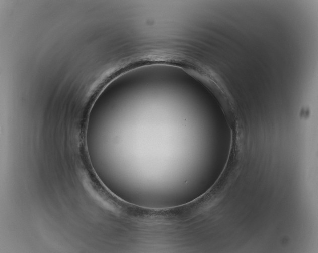 X0000112900530200908281727