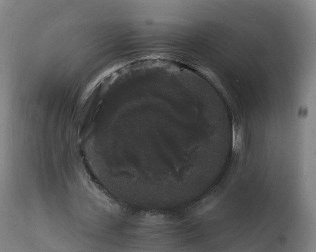 X0000112900531200908281727