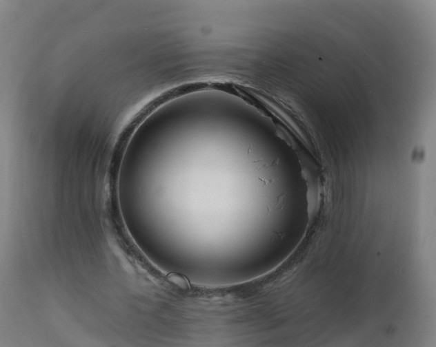 X0000112900532200908281727