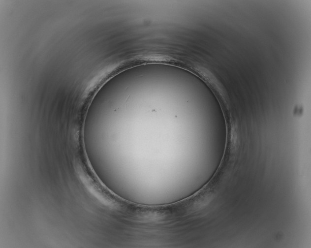 X0000112900533200908281728