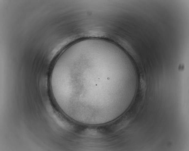 X0000112900534200908281728