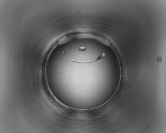 X0000112900535200908281728