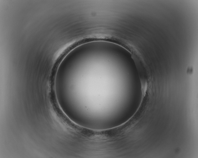 X0000112900536200908281728