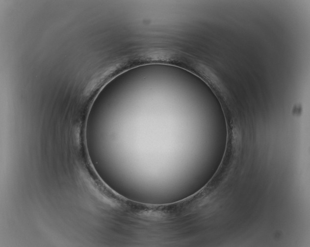 X0000112900537200908281728