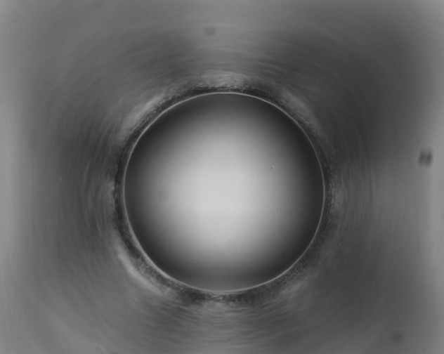 X0000112900538200908281728