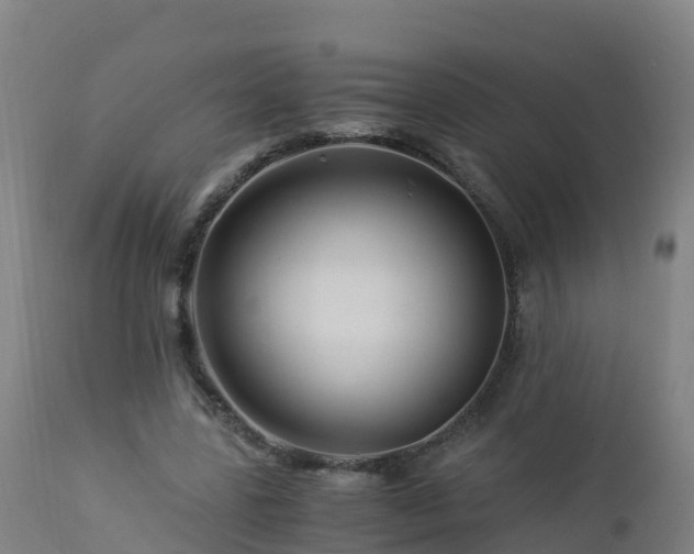 X0000112900539200908281728