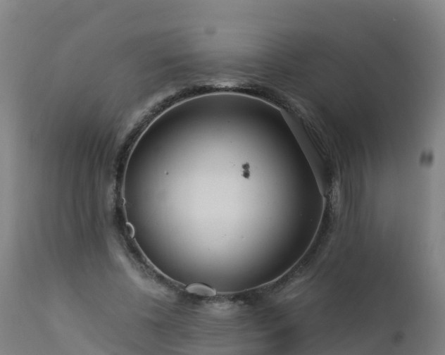 X0000112900540200908281728