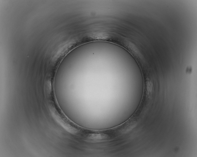 X0000112900541200908281728