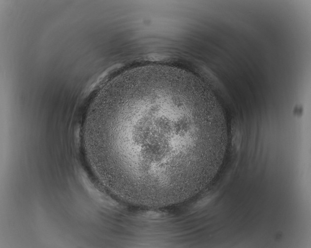 X0000112900542200908281728