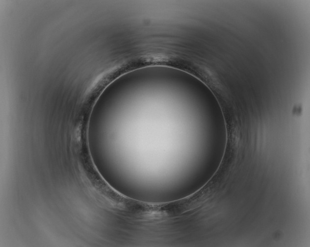 X0000112900543200908281728