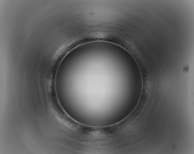 X0000112900544200908281728