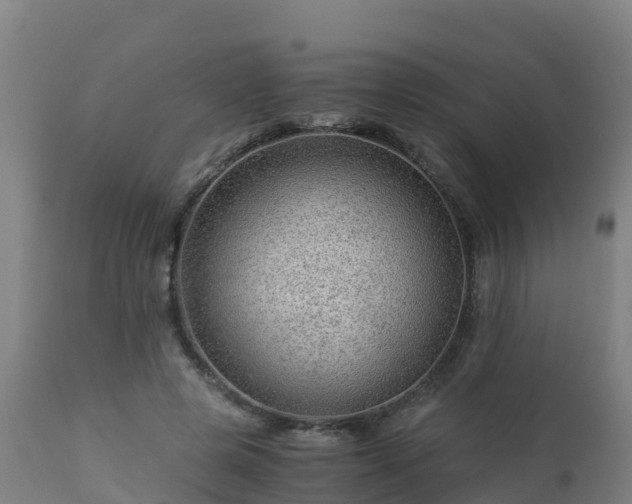 X0000112900545200908281728