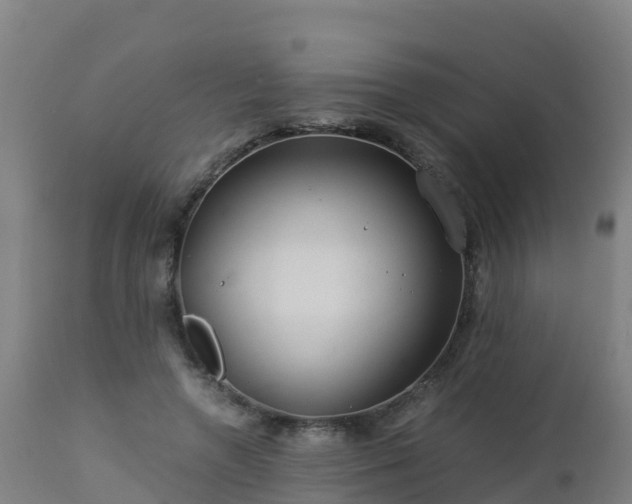 X0000112900546200908281728