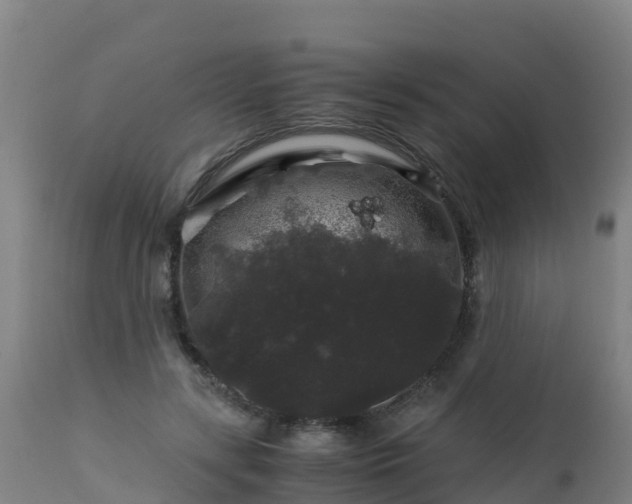 X0000112900547200908281728