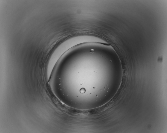 X0000112900548200908281728