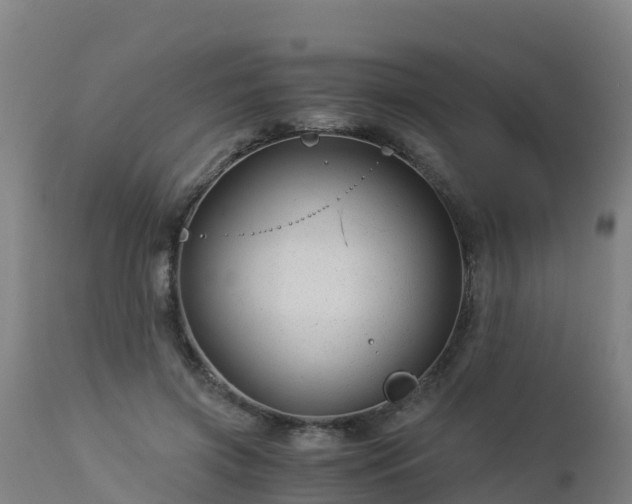 X0000112900549200908281728