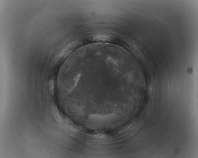 X0000112900551200908281728