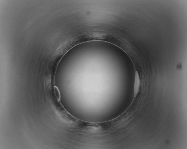 X0000112900552200908281728