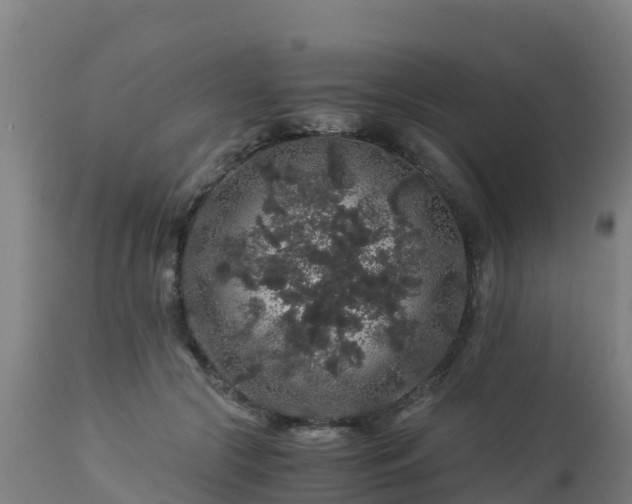 X0000112900553200908281728