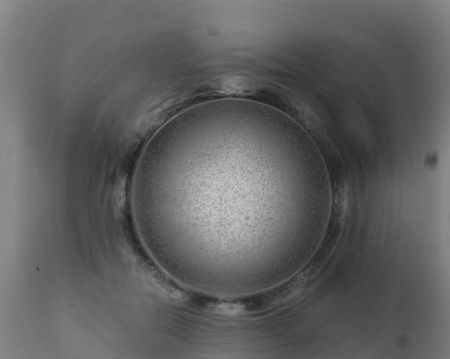 X0000112900554200908281728