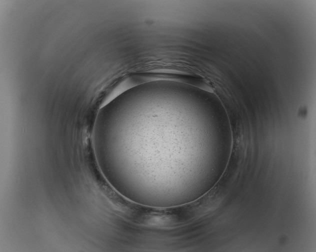 X0000112900555200908281728