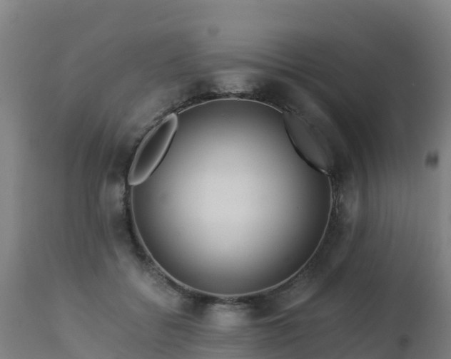 X0000112900556200908281728