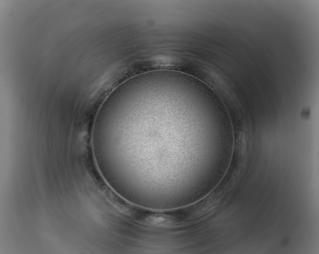 X0000112900557200908281728