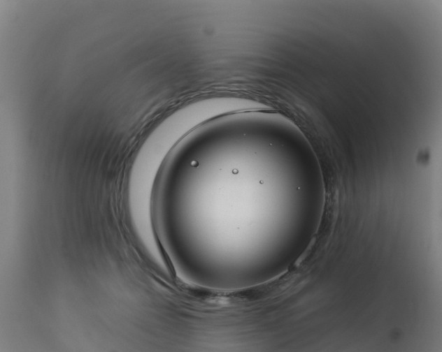 X0000112900558200908281728