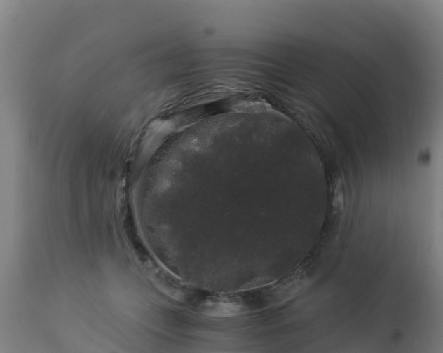 X0000112900559200908281728