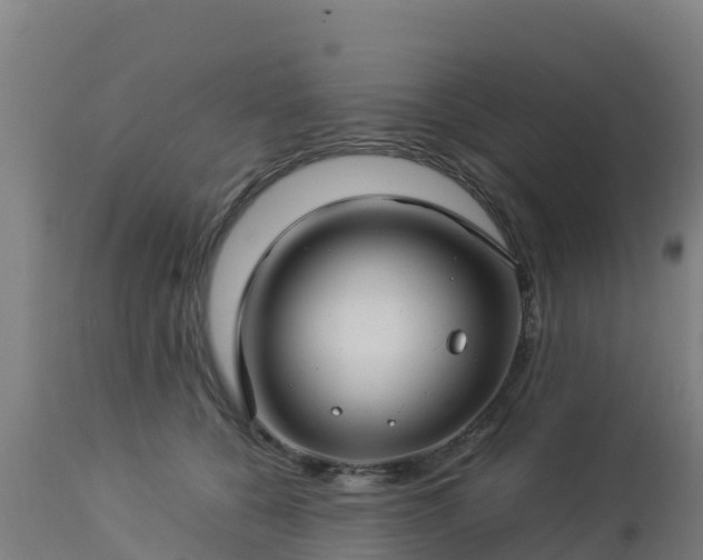 X0000112900560200908281728