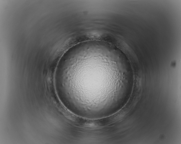 X0000112900561200908281728