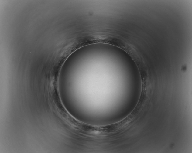 X0000112900563200908281728