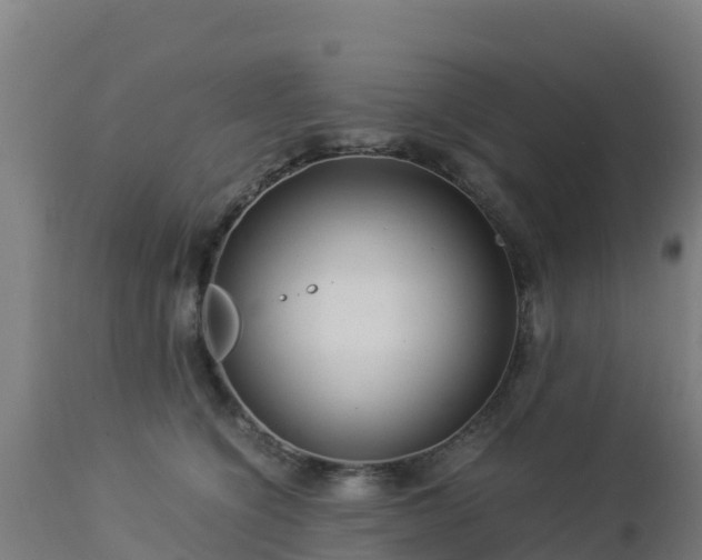 X0000112900564200908281728