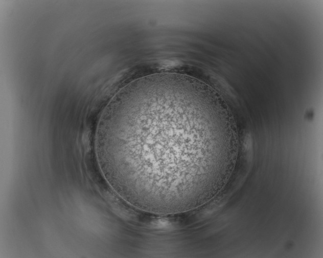 X0000112900565200908281728