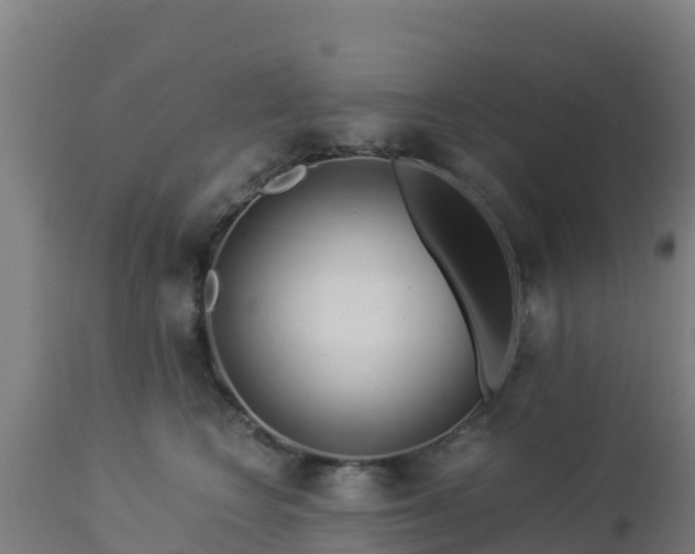 X0000112900566200908281728